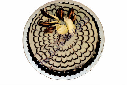 Chocolate Venom Cake